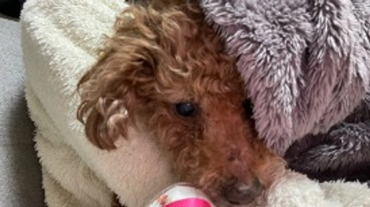 あと2時間ほどで終了します💦