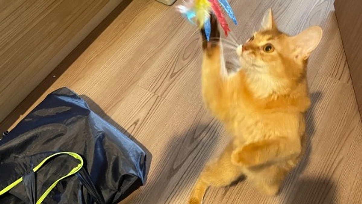 ★2023年11月10日：投薬52日目★