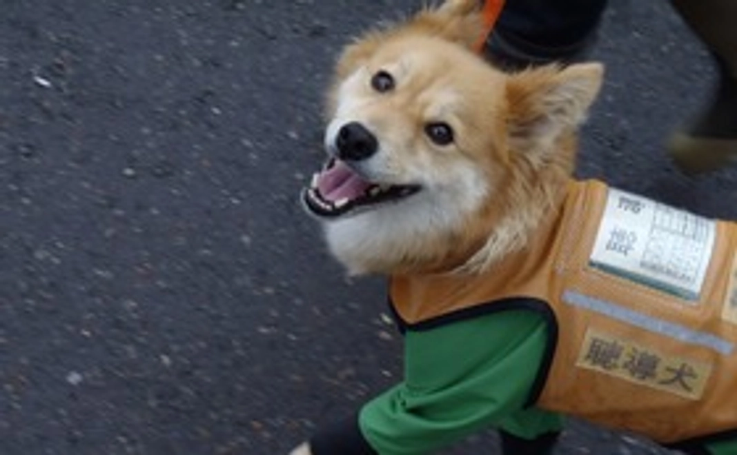 1万円寄付コース【税額控除対象】