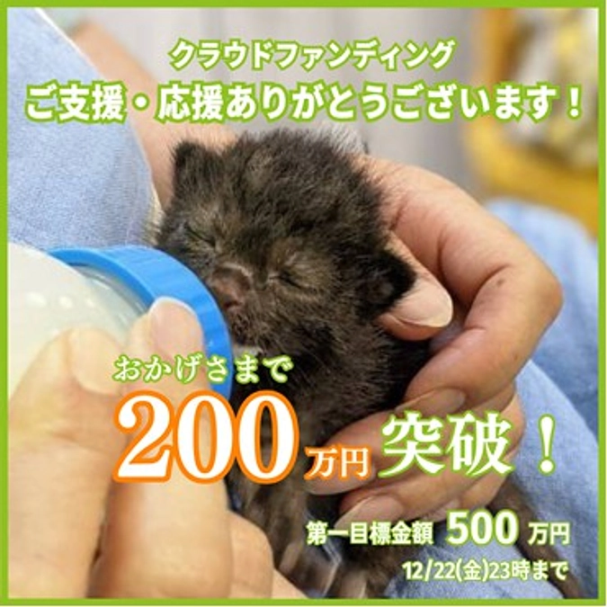 沢山の皆様に応援いただき200万円突破しました。