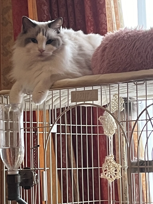 1122 定期検診行ってきました