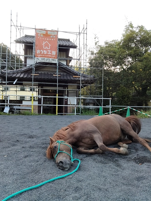 雨漏りの修繕工事が始まりました！