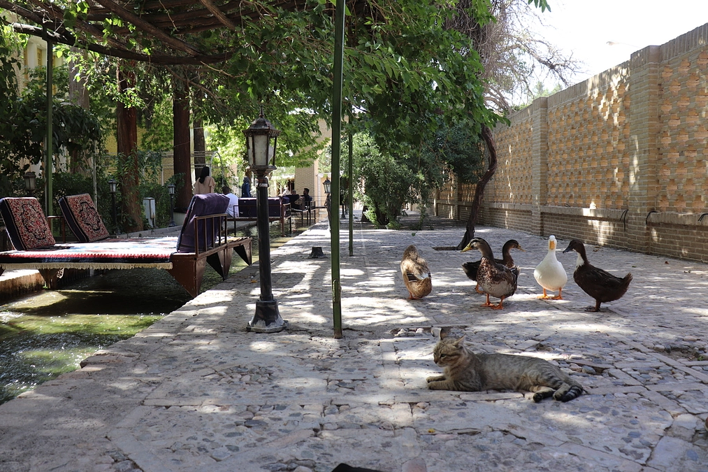 クラウドファンディング開始のご挨拶