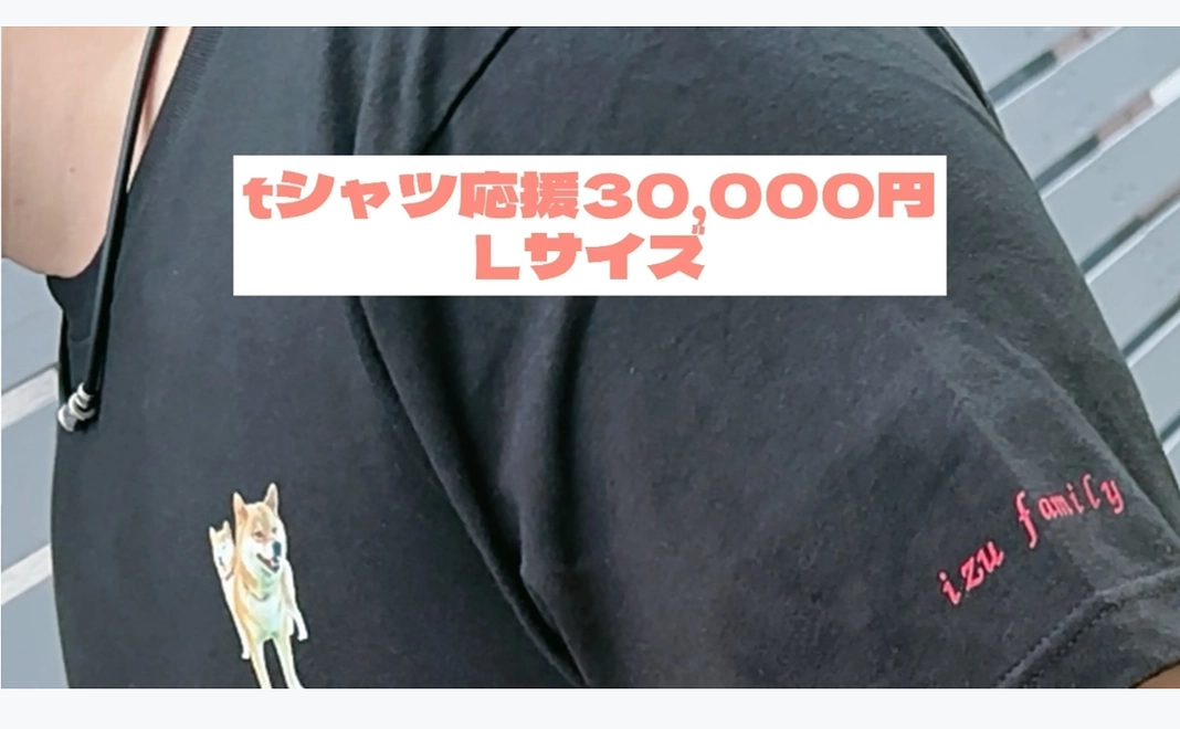 イズファミリーTシャツLサイズ