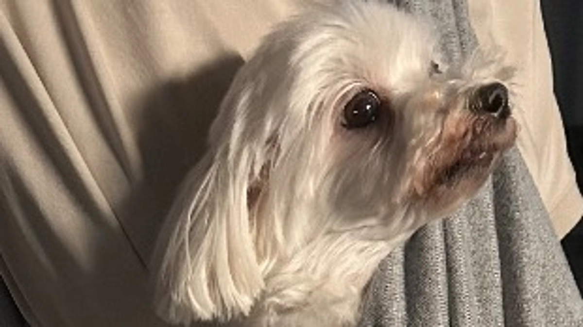 普段のお散歩🍀