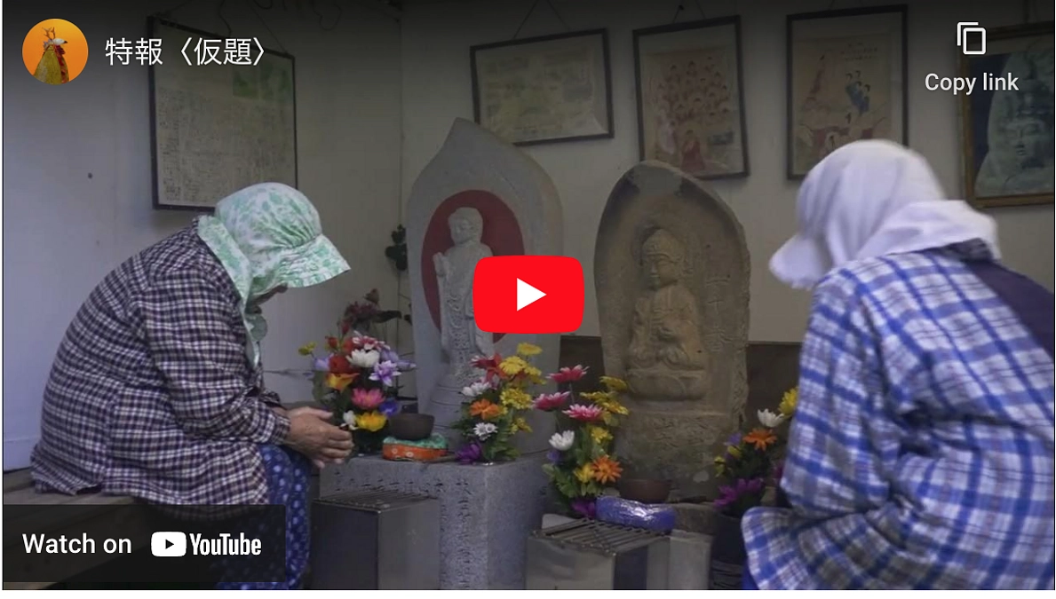 作成する映像の特報が届きました！