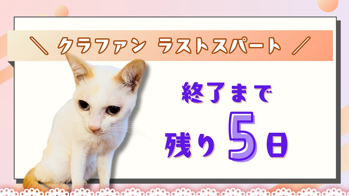 カウントダウン ＼終了まで残り5日！／ 応援メッセージのご紹介