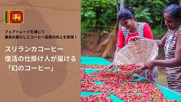 幻のスリランカコーヒー復活の仕掛け人によるフェアトレードコーヒー のトップ画像
