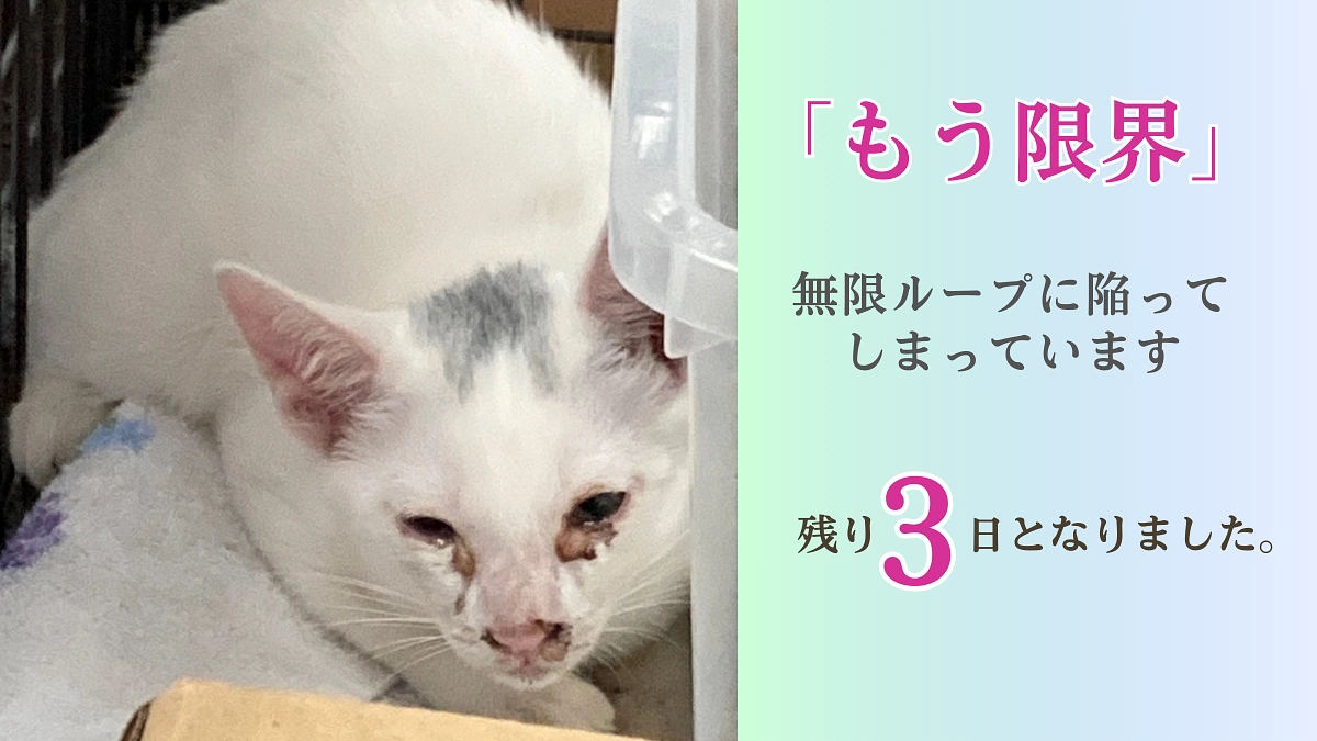 「もう限界」無限ループに陥ってしまっています。【残り3日となりました】