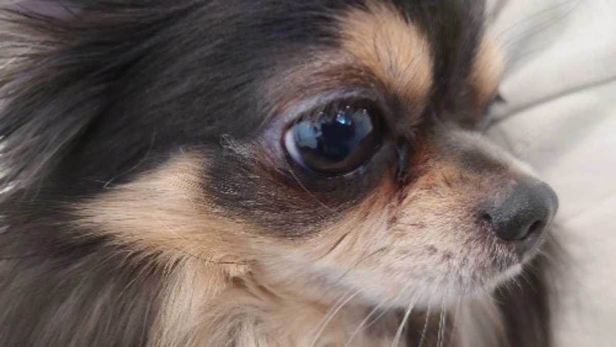 代理支援について