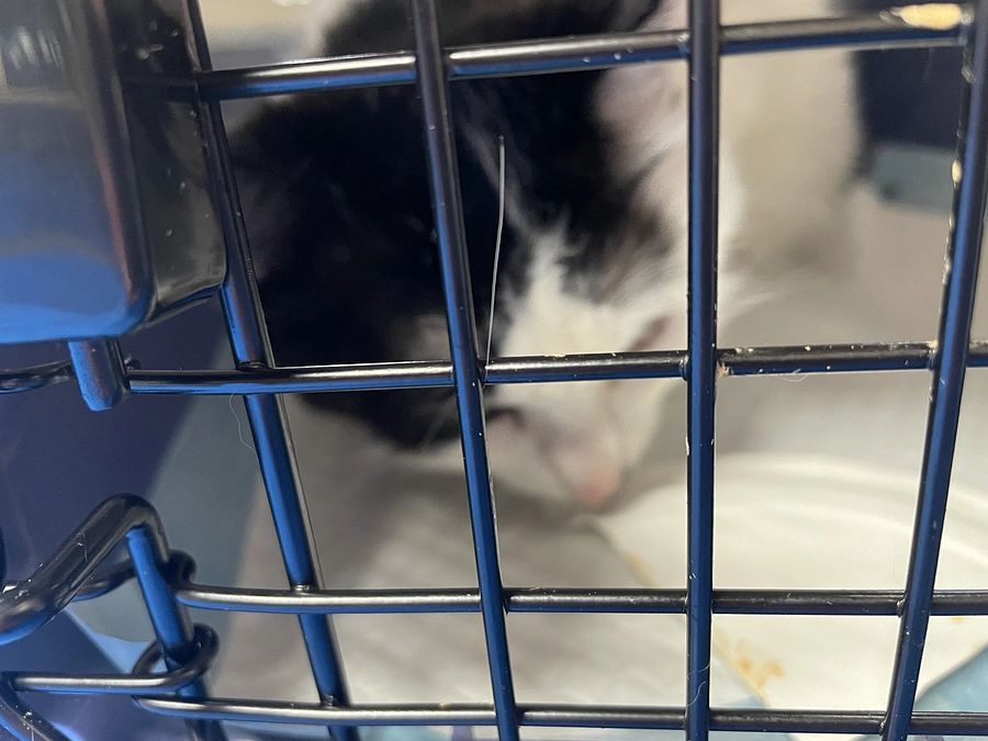 長らくお待たせして申し訳ございません🙇‍♀️