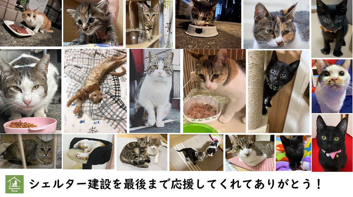 【活動報告】最後まで応援していただき有難うございました！！！