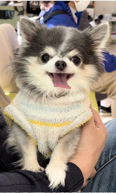 穏やかに過ごせるかけがえのない日々