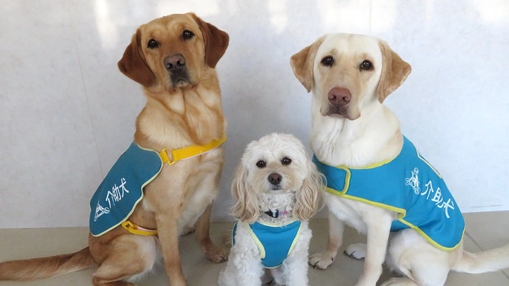 介助犬・聴導犬と暮らせる人を増やす。必要な車両を買い替えたい