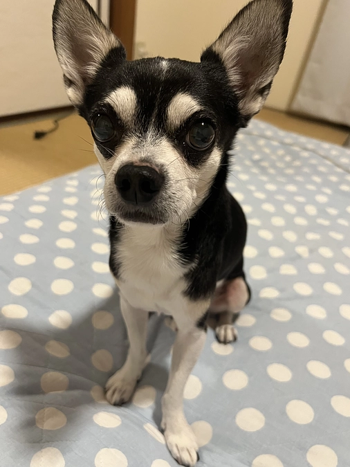 クラウドファンディング残り2時間‼︎