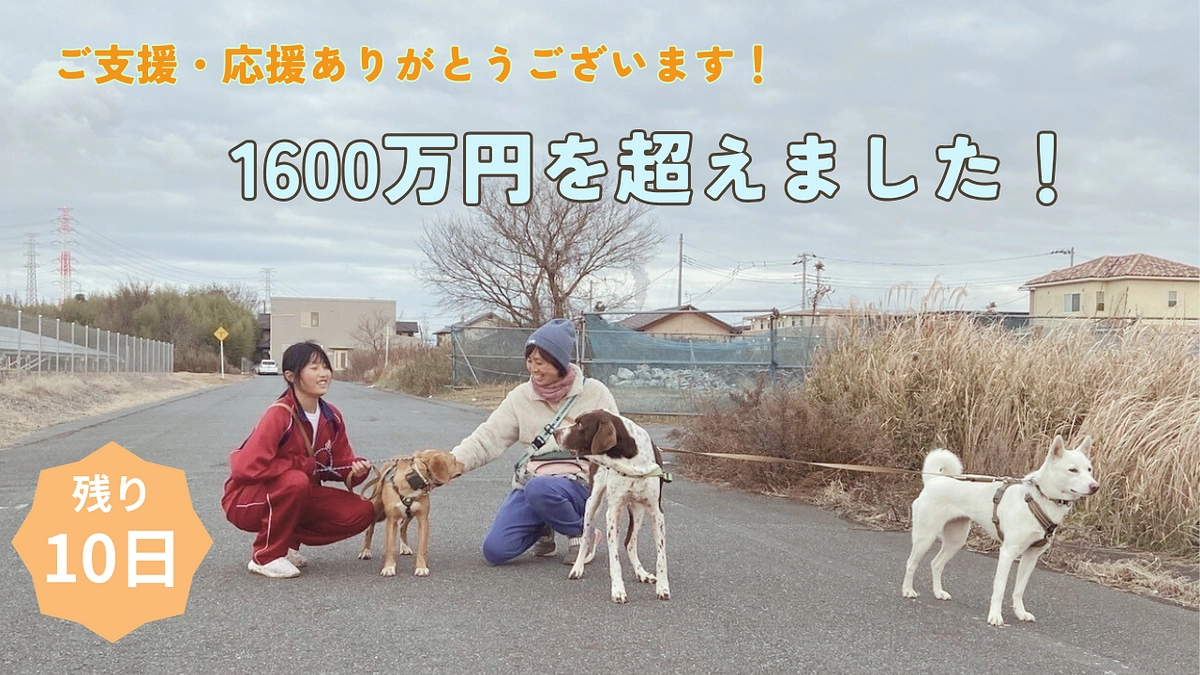 皆様の応援のおかかげで1600万円に到達しました！