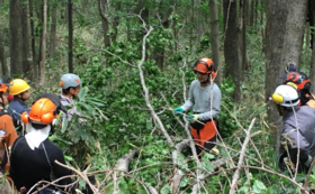【特別体験コース】プロの木こりがしっかり教える1日里山暮らし体験