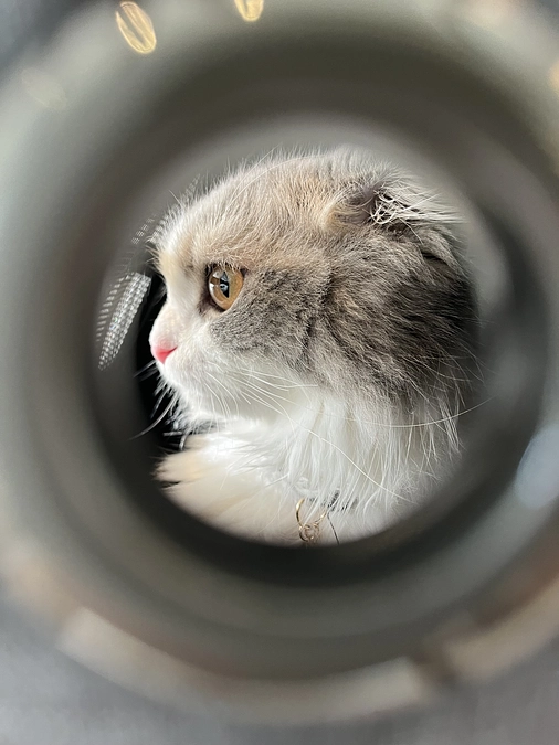 みなさまありがとうございます。