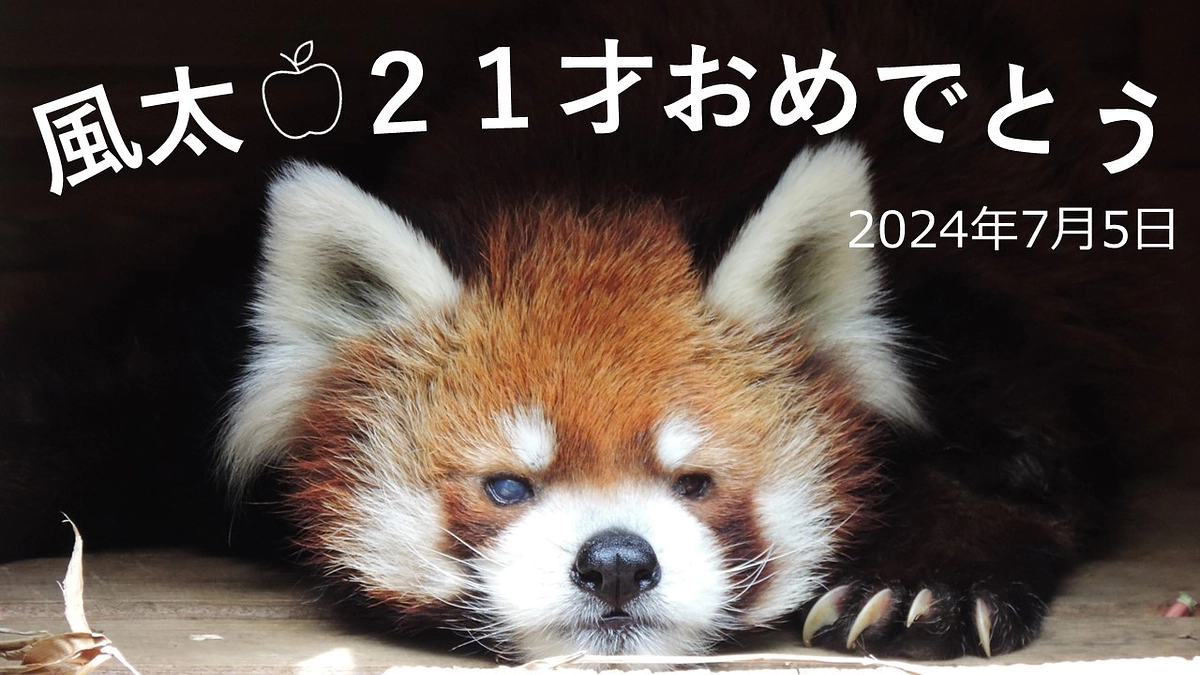 7月５日(金)本日の風太のイベントについて