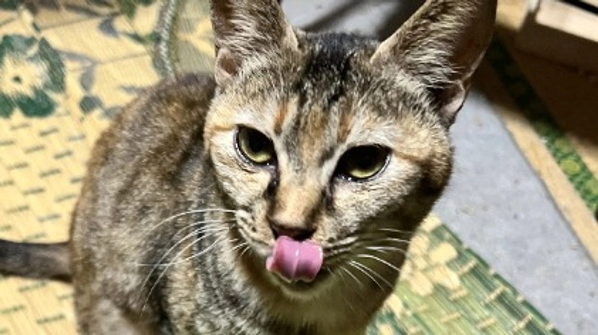 何度経験しても、悲しいお別れは慣れません。