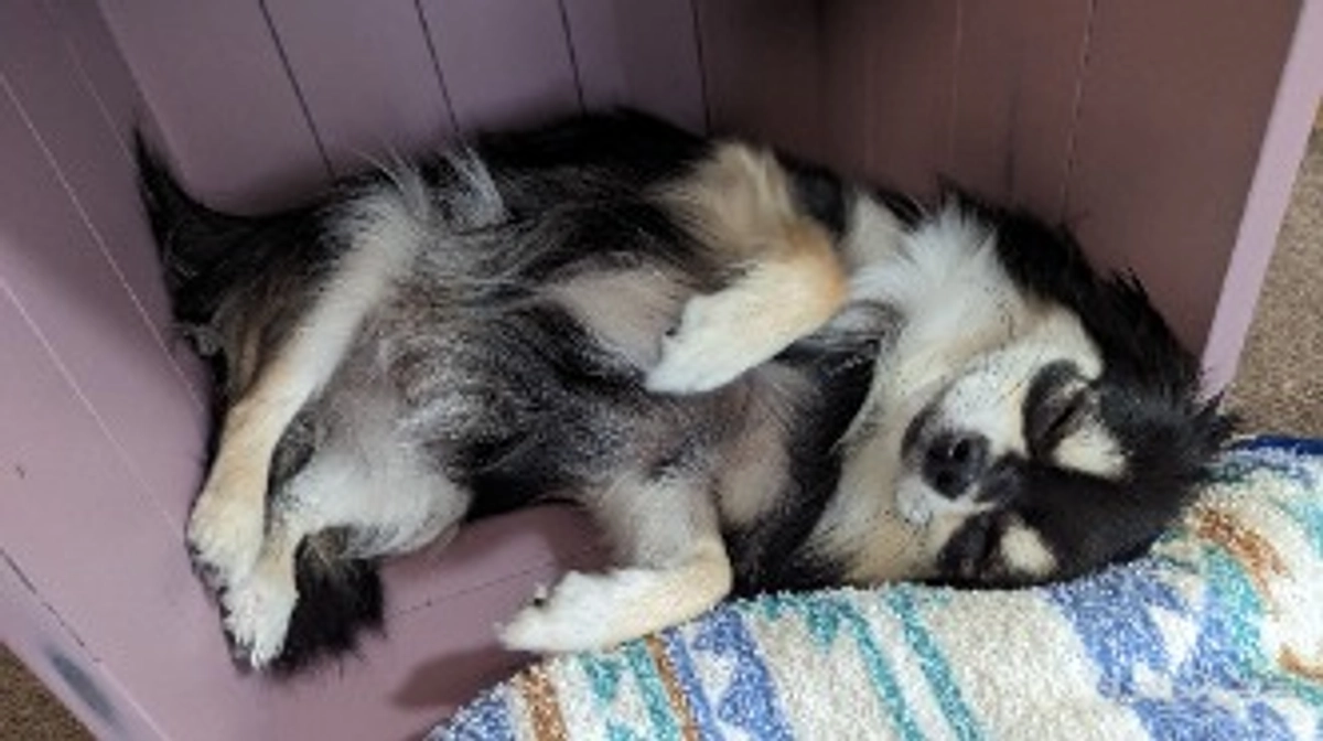 8月も精一杯頑張ります！よろしくお願いします🙇‍♀️