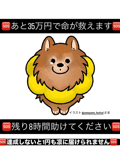 🆘🆘🆘残り7時間あと35万円🆘🆘🆘