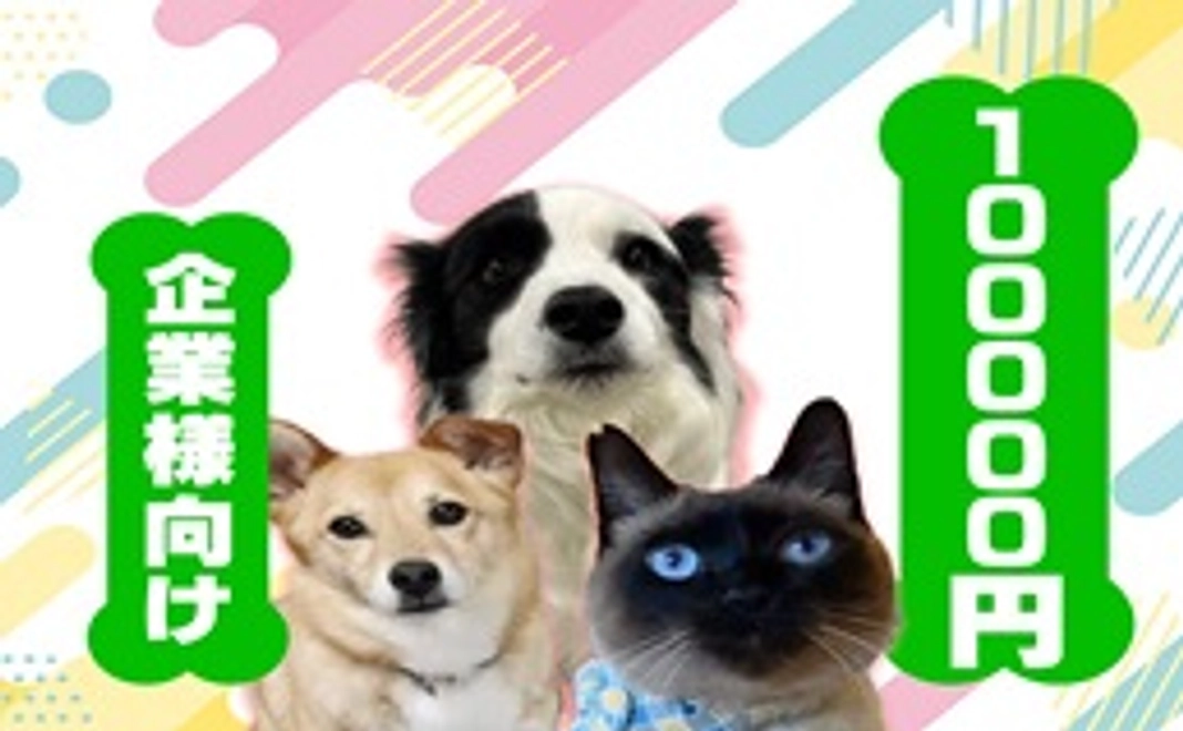 毎月100000円コース