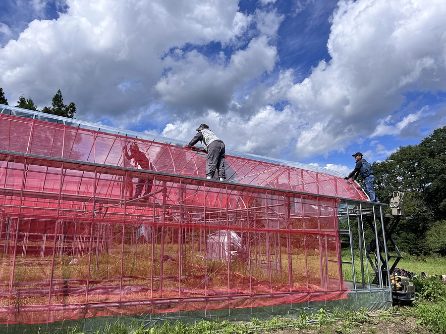 【活動報告⑥】　ハウスにビニールがかかりました