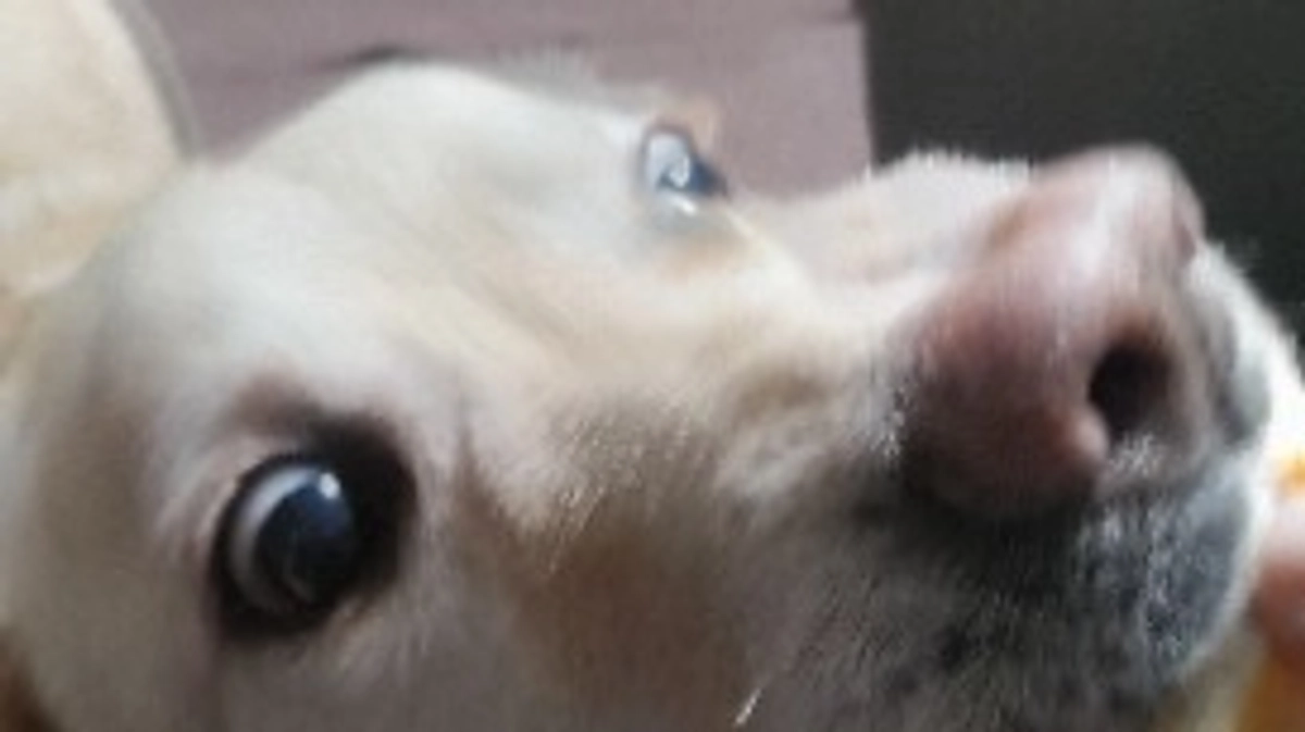 特に変化はないですが