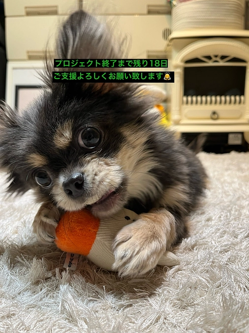 プロジェクト終了まで残り18日　本日7％達成しました！　活動報告6回目