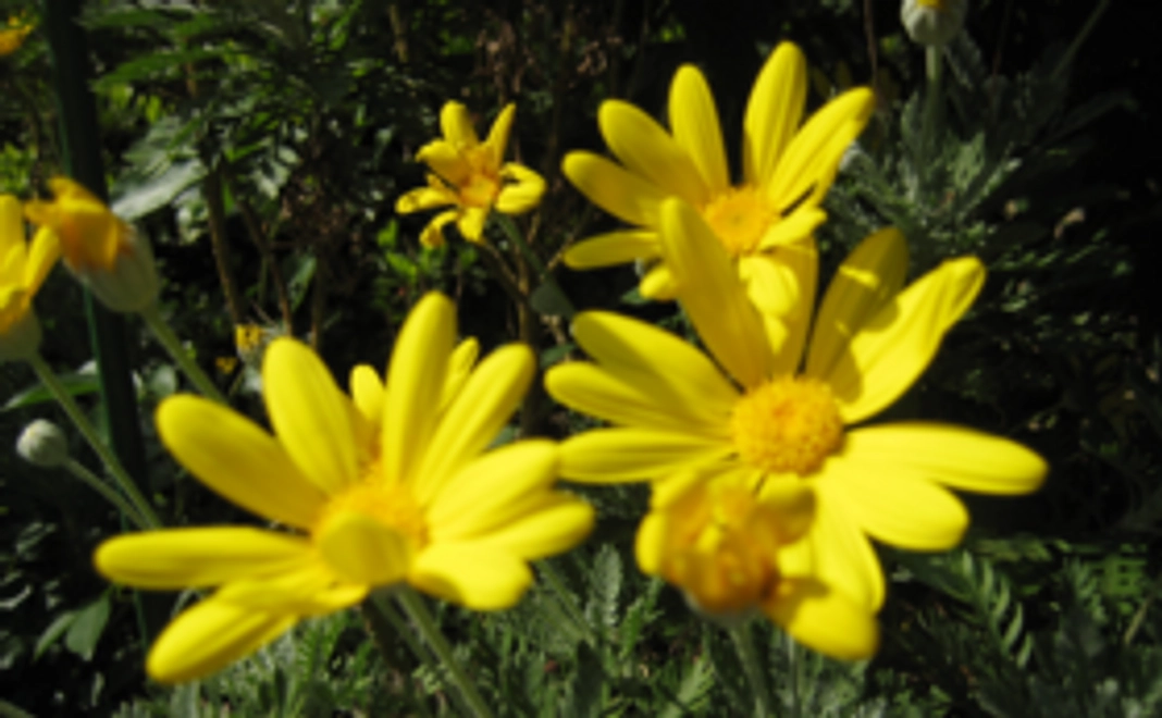 あなたの気持ちがとっても嬉しいコース