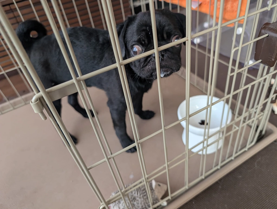 すこし安心🍀︎✨