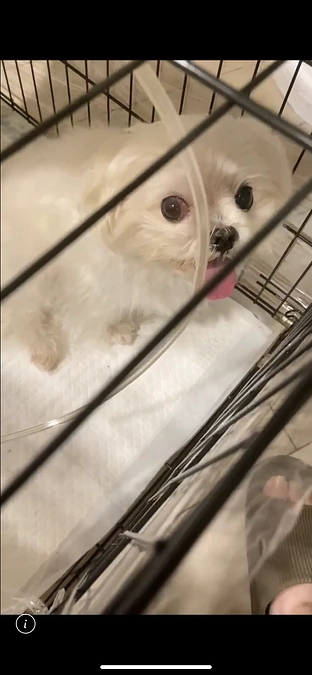 ❤️✨🙏🏻 萌萌を応援してください🫶