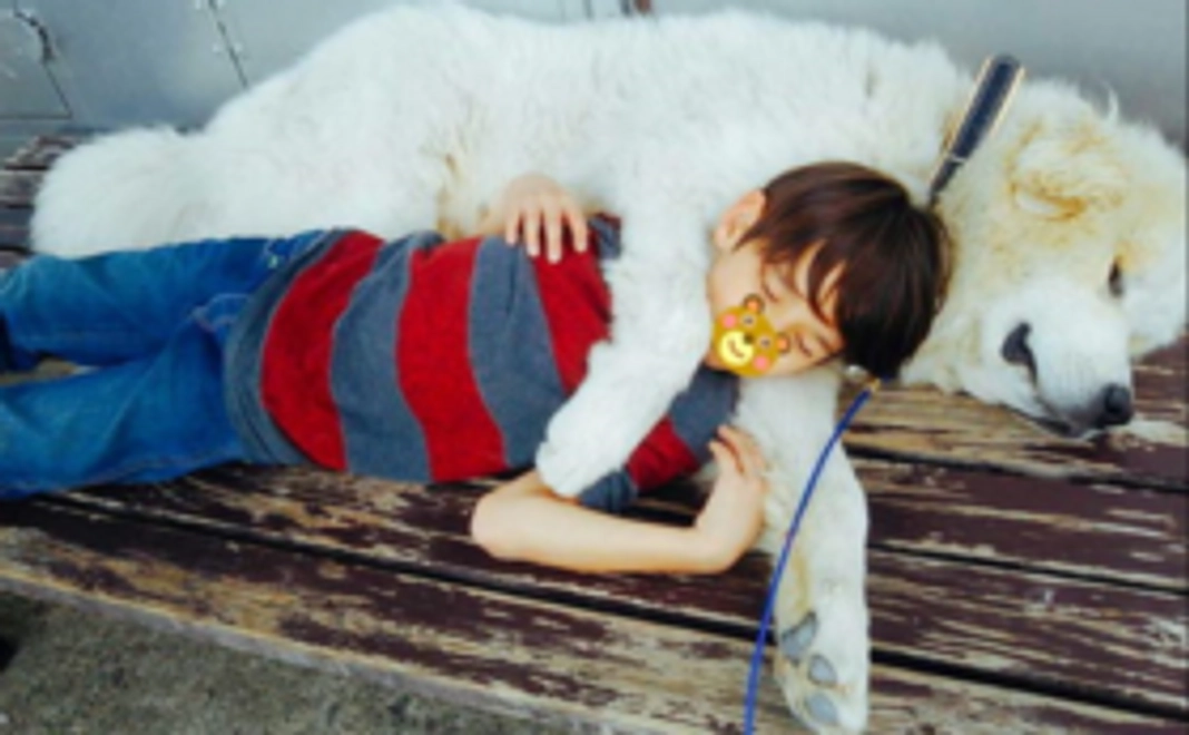 ノンノ＆ジョリーの写真付きお礼のメッセージ