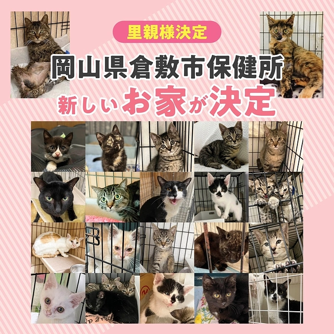 命の期限　収容から2か月のカウントダウン