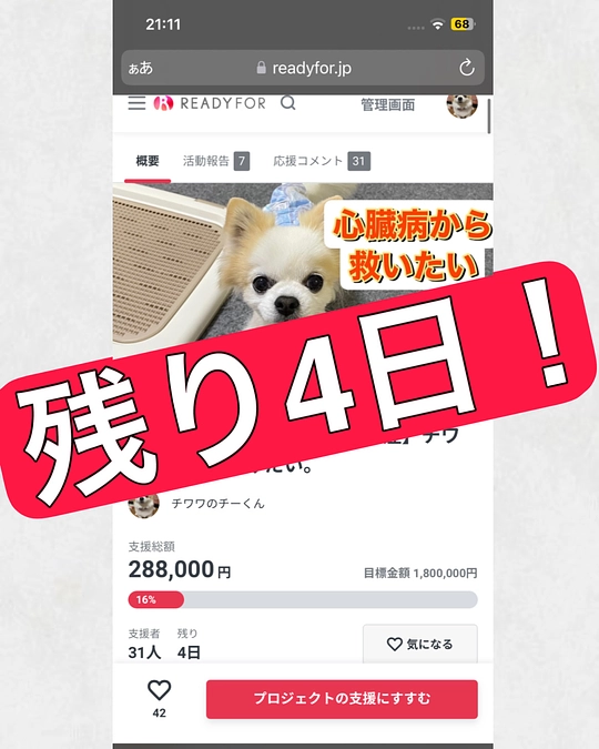 プロジェクト終了まで残り4日