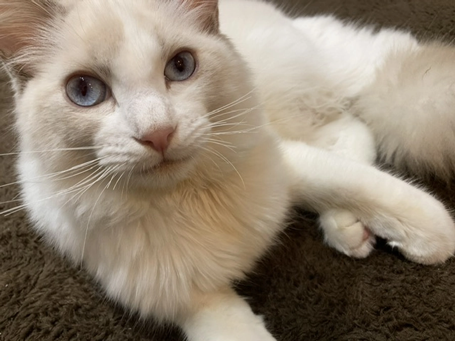 投薬１６日目(2023.3.28)