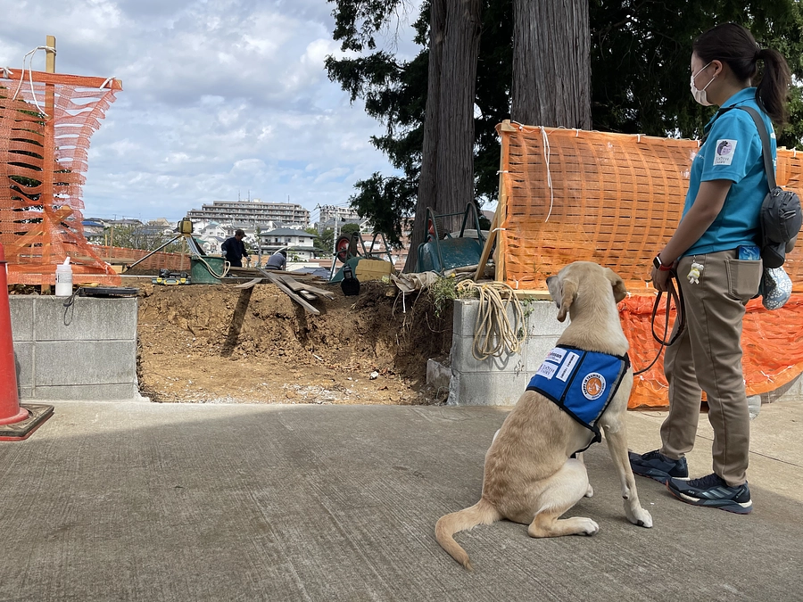 リラの丘工事現場にトミー＆ミコが来てくれました