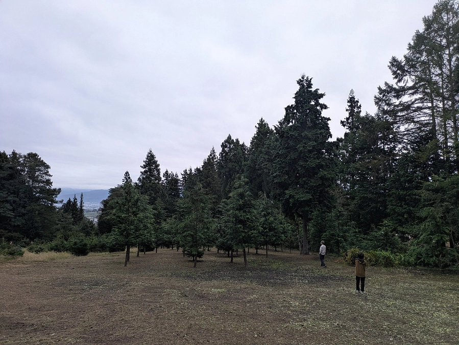 明日10/17の夜はまるますの森にて！『ポポスタラタ山』大千秋楽！