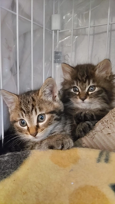 ご無沙汰しております！