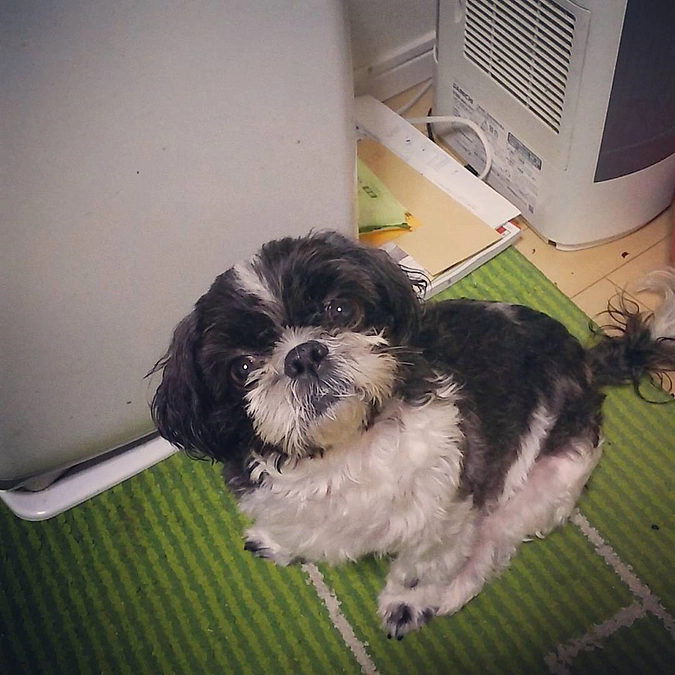 本日もご支援頂きました。