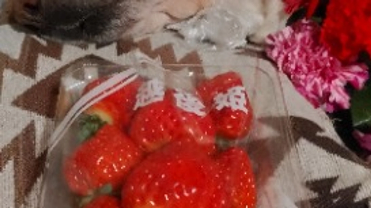 ありがとうございました