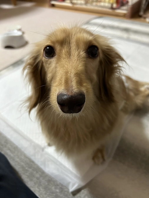 皮膚が裂開寸前