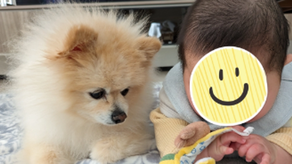 お礼✳手術日のご報告