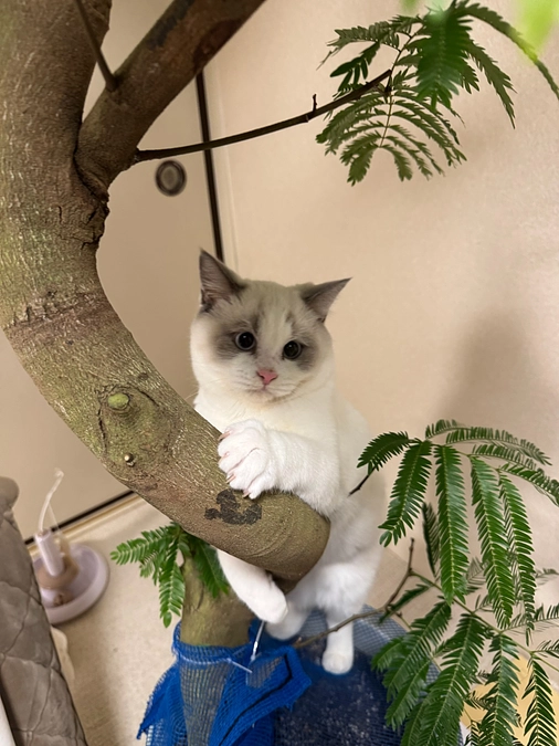 ご支援者様よりたくさんアドバイスいただきました。