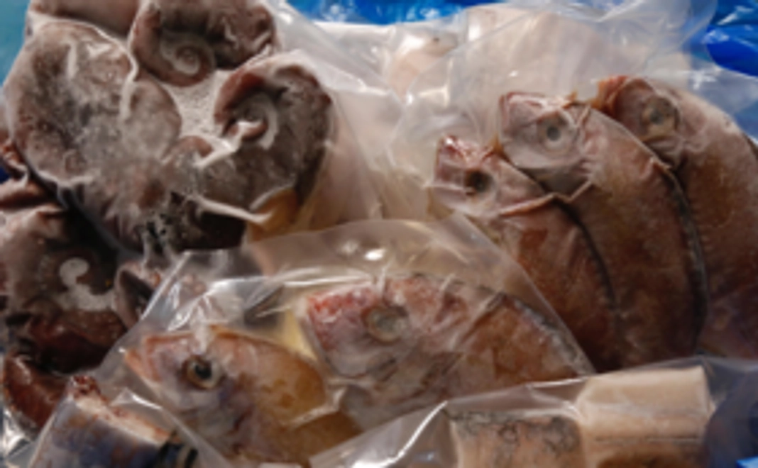 震災後の久之浜で初めて造った常磐ものの加工品セット