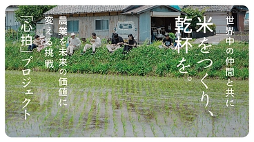 日本一の酒米産地に、黄金の稲穂に囲まれた宿泊拠点をつくる！ のトップ画像
