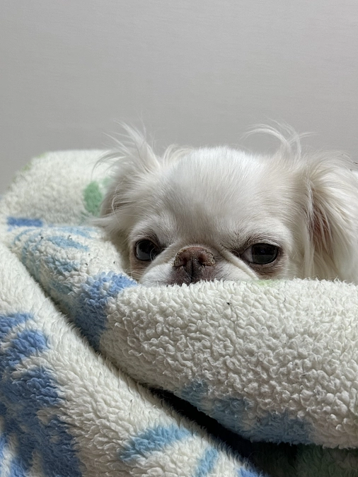 残り36日✊‼️