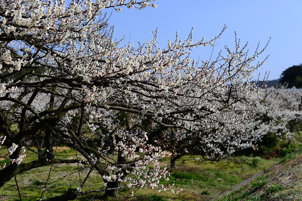 返礼品のご紹介～中田食品～