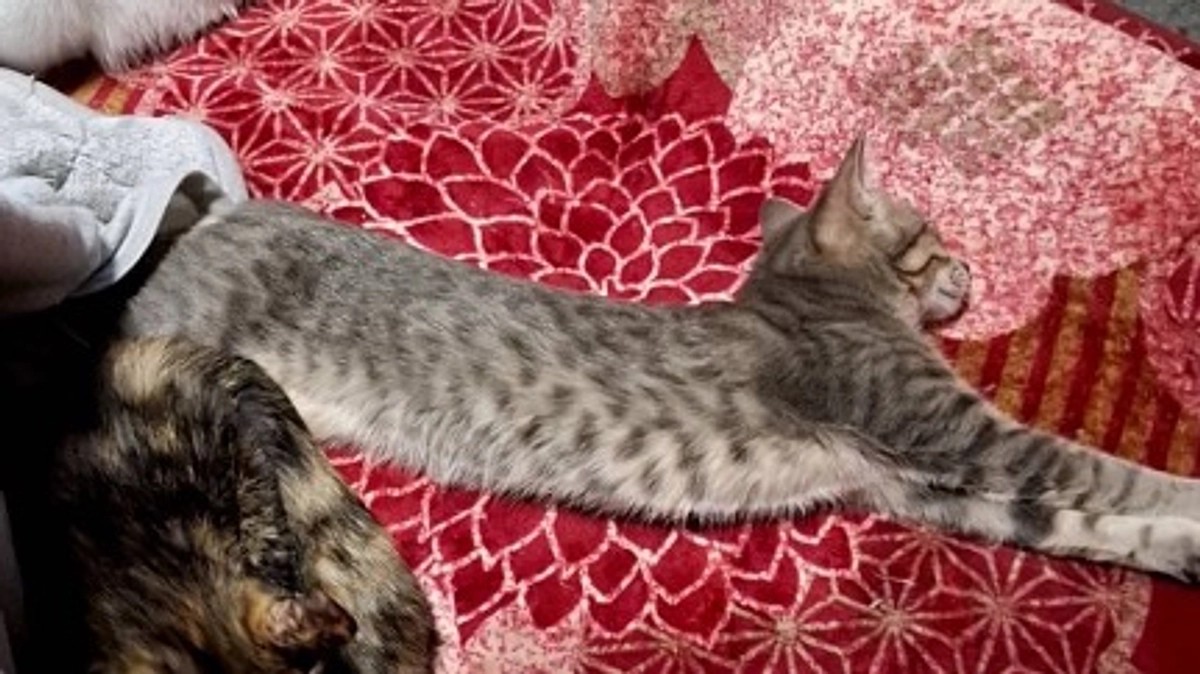 生後３週間に苦戦